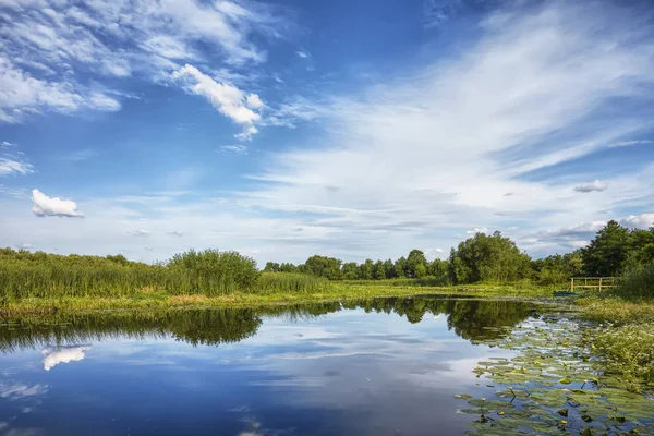 Modrá Obloha Mraky Nad Nad Břehem Řeky Reedem Stromy — Stock fotografie