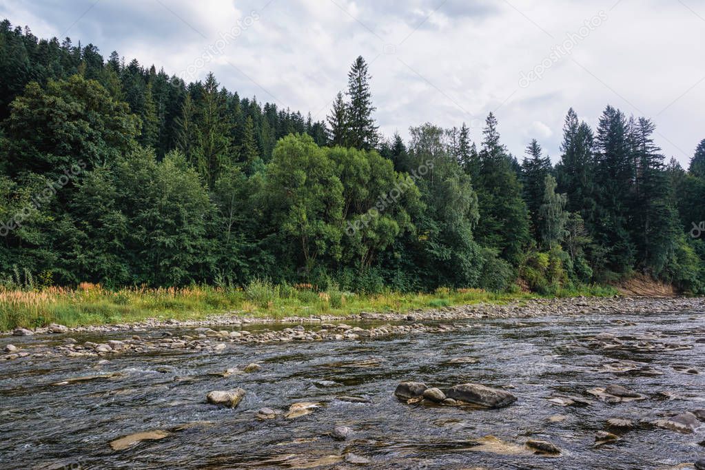 The mountain river with trees on the shore.