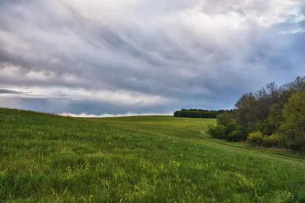 Nuvens Trovoada Sobre Prados Florestas — Fotografia de Stock