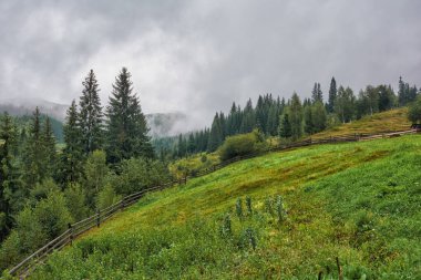 Dağlarda yağmur bulutları sis.