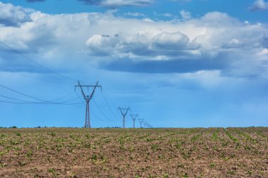 Kırsal manzara - onlar üzerinde bulutlar ile sürülmüş sahada elektrik direkleri.