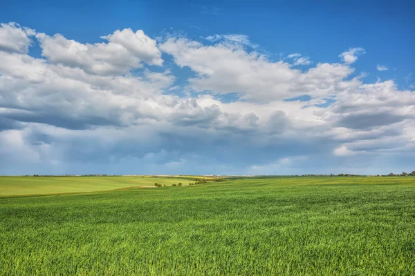 Paesaggio Rurale Prati Con Cielo Blu Nuvole Essi — Foto Stock