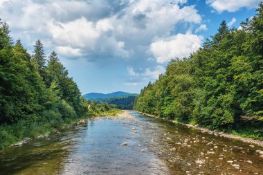 Kıyısında ağaçlar ve gök gürültülü bulutlar olan dağ nehri..
