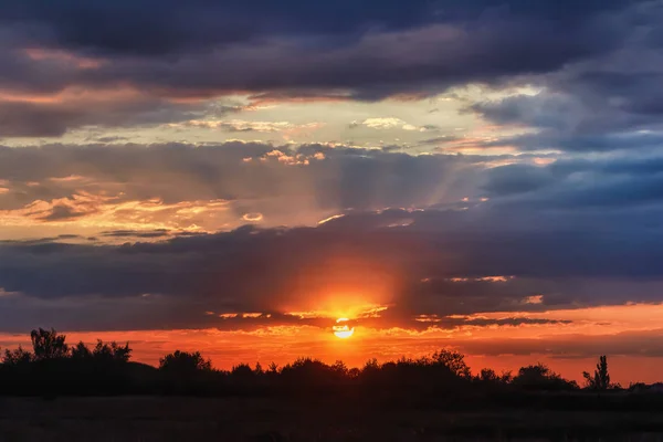 Nuages Sur Ciel Coucher Soleil Sur Les Silhouettes Des Buissons — Photo