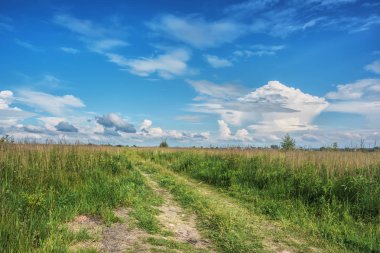 Kırsal alan - üzerinde mavi gökyüzü ve bulutlar olan çayırlar.