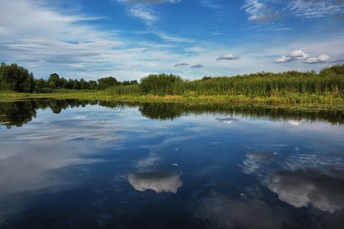 Nehir kıyısında güneşli bir gün. Reed, ağaçlar ve mavi gökyüzü bulutlarla kaplı..