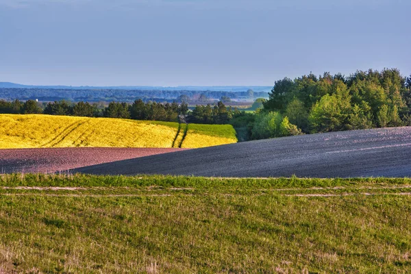 Ländliche Landschaft Gepflügtes Feld Raps Wiesen Und Wald — Stockfoto
