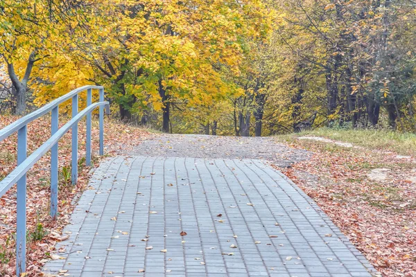 Alley Paved Cobblestone Autumn Park Trees Yellowed Leaves — Stock Photo, Image