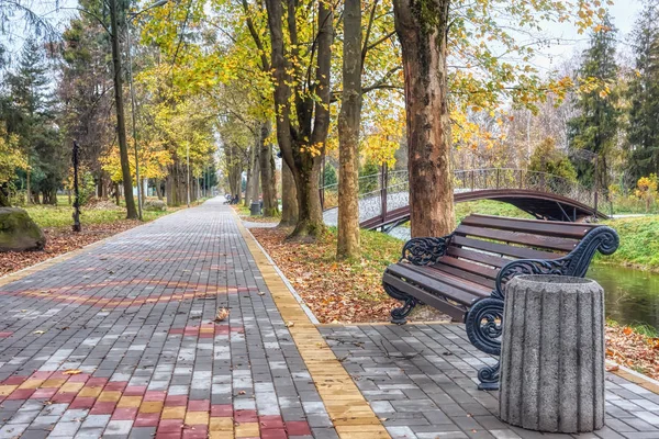 Autumn Landscape Alley Park Paved Colored Pavement Shore Small River — Stock Photo, Image