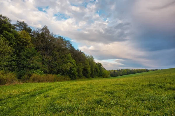 Gün batımında gökyüzü bulutlu çayırların ve ormanın üzerinde.