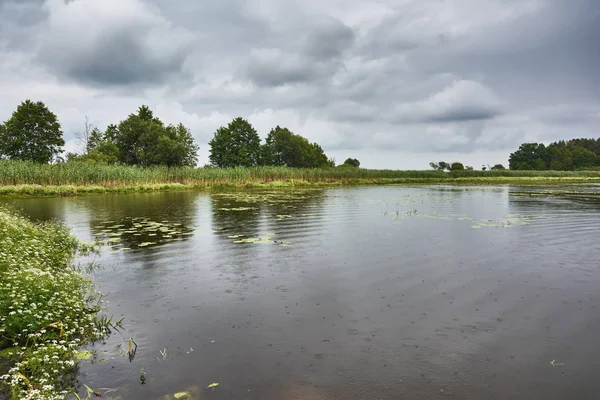 Storm clouds and rain over the lake bank.