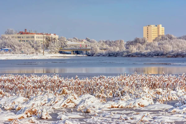 Pejzaż Zimowy Rzeki Brzegów Pokryte Śniegiem Domy Banki — Zdjęcie stockowe