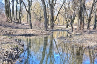 Bahar küçük bir nehir.