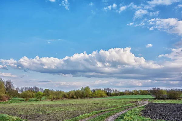 Kırsal Manzara Alanlar Ağaçlar Zemin Yol — Stok fotoğraf