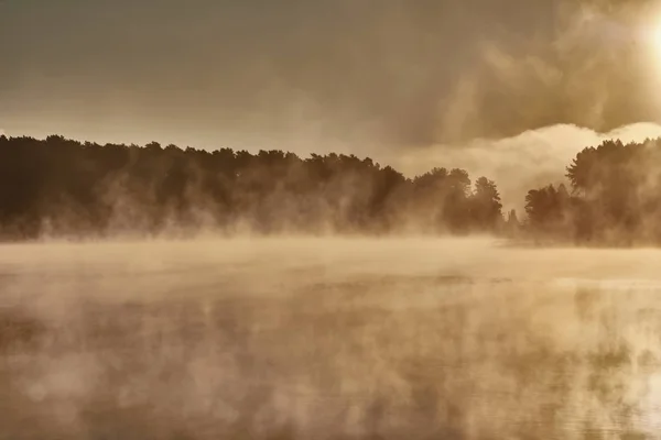 Dawn Lake Thick Fog Silhouettes Trees Rays Rising Sun — Stock Photo, Image