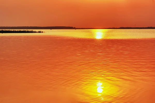 Tramonto Dorato Sul Lago Con Pista Soleggiata Sull Acqua — Foto Stock