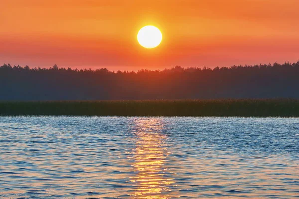 Восход Солнца Над Озером Солнце Над Силуэтами Береговой Линии Леса — стоковое фото