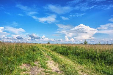 Kırsal alan - üzerinde mavi gökyüzü ve bulutlar olan çayırlar.