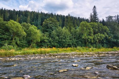 Dağ nehir kıyısında ve mavi gökyüzü bulutlu ağaçta ile.