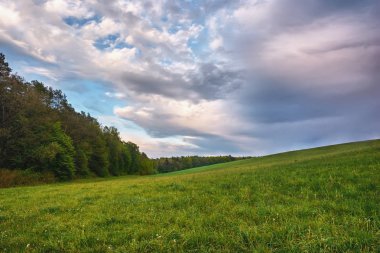 Gün batımında gökyüzü bulutlu çayırların ve ormanın üzerinde.