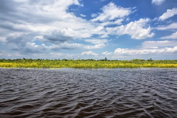 Día Soleado Sobre Orilla Del Río Caña Árboles Cielo Azul — Foto de Stock