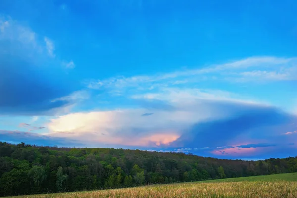 Niebo Chmurami Zachodzie Słońca Nad Łąkami Lasem — Zdjęcie stockowe