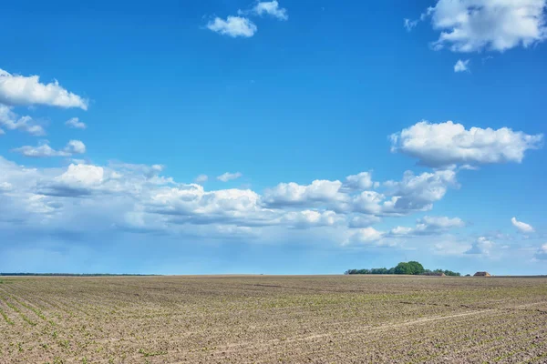 Paesaggio Rurale Campo Arato Con Nuvole Tuono Loro — Foto Stock