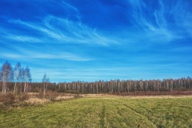 Arka planda alan çayırları ve ormanları.