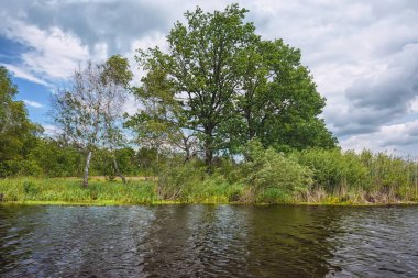 Sazlıklarla nehir kıyısında fırtına bulutları.