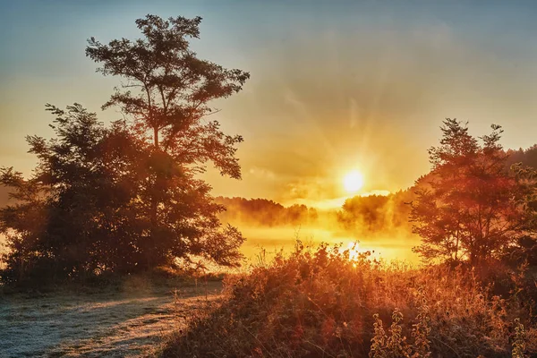 Sunrise Lake Fog — Stock Photo, Image