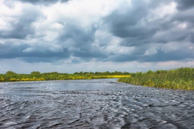Sazlıklar ve ağaçlarla nehir kıyısında fırtına bulutları.