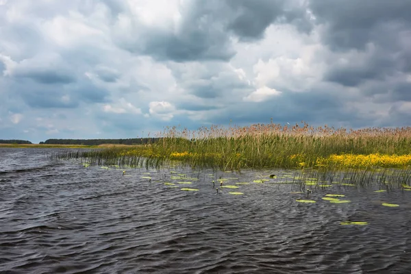 Sazlıklarla nehir kıyısında fırtına bulutları.