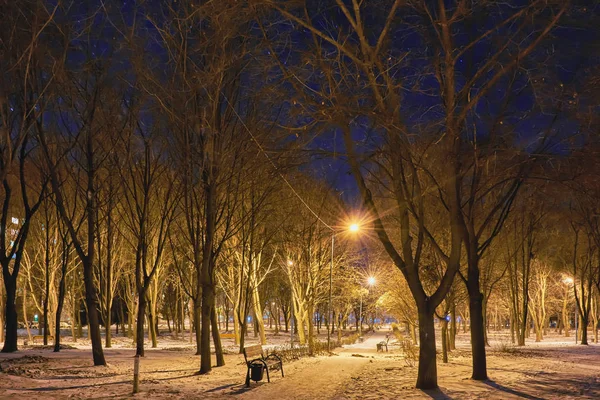 Evening Winter Covered Snow Park — Stock Photo, Image