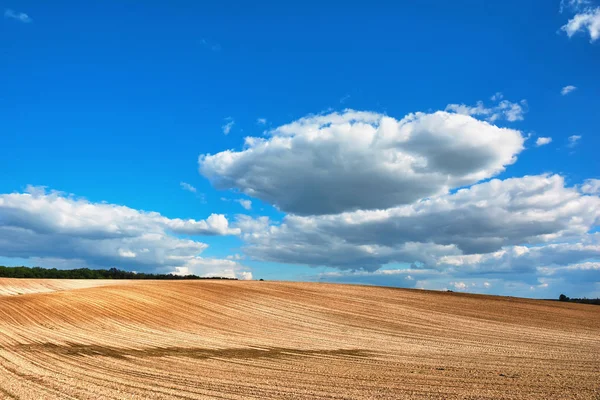 Paesaggio Rurale Campo Arato Foresta Con Cielo Blu Nuvole Loro — Foto Stock
