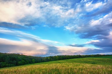 Gün batımında gökyüzü bulutlu çayırların ve ormanın üzerinde.