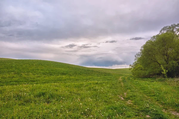 Landscape Meadows Thunderclouds Them — Stock Photo, Image