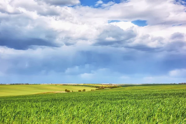 Landelijk Landschap Weiden Met Blauwe Lucht Wolken Eroverheen — Stockfoto