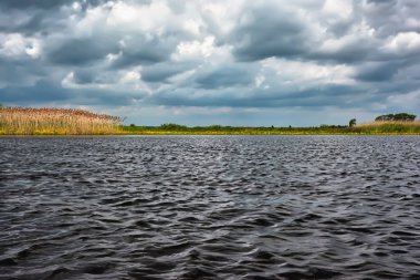 Sazlıklarla nehir kıyısında fırtına bulutları.