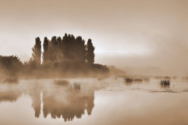 Sabah sis Nehri ve ağaçları ile sahil üzerinde.