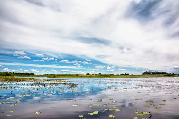 Día Soleado Sobre Orilla Del Río Caña Árboles Cielo Azul — Foto de Stock