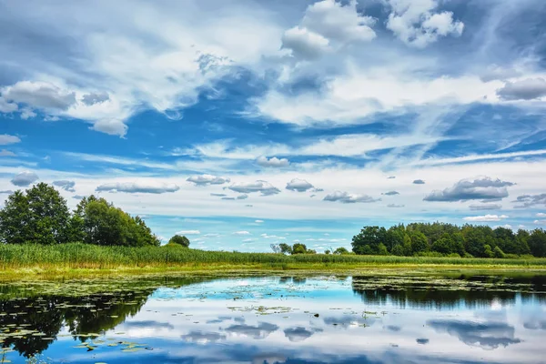 Día Soleado Sobre Orilla Del Río Caña Árboles Cielo Azul — Foto de Stock