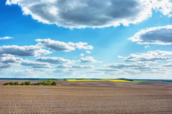Wiejski Krajobraz Zaorane Pole Gwałt Łąk Lasu Blue Sky Chmury — Zdjęcie stockowe