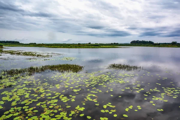 Вечерний Шторм Над Водоразделом Драматическое Небо Облака — стоковое фото