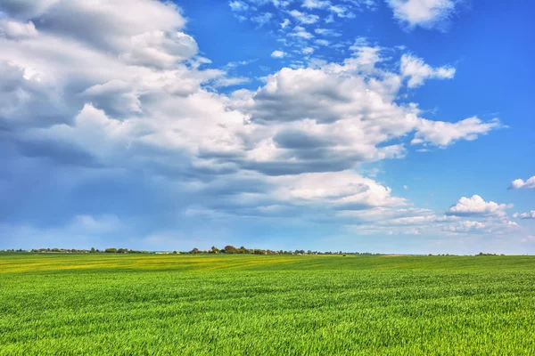 Rural Landscape Meadows Thunderclouds Them — Stock Photo, Image