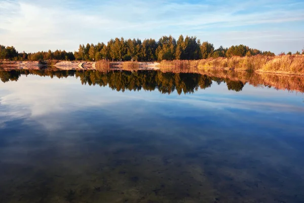 Evening Landscape Pond Forest Coast — Stock Photo, Image