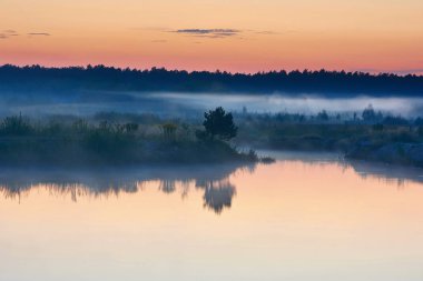 Manzara - alacakaranlık Gölü, arka plan ve sis deniz kenarı Ormanda.