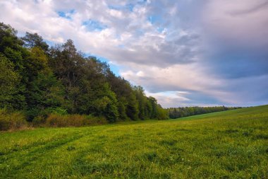 Gün batımında gökyüzü bulutlu çayırların ve ormanın üzerinde.