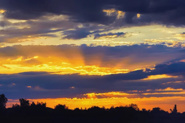 Coucher Soleil Sur Les Silhouettes Des Arbres Des Buissons — Photo