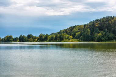 Nehir kıyısında güneşli günde.