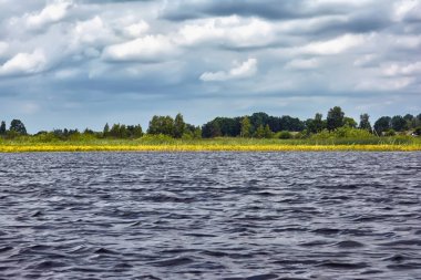 Sazlıklar ve ağaçlarla nehir kıyısında fırtına bulutları.